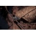 Cochinilla - Isopodo - armadillidium maculatum zebra